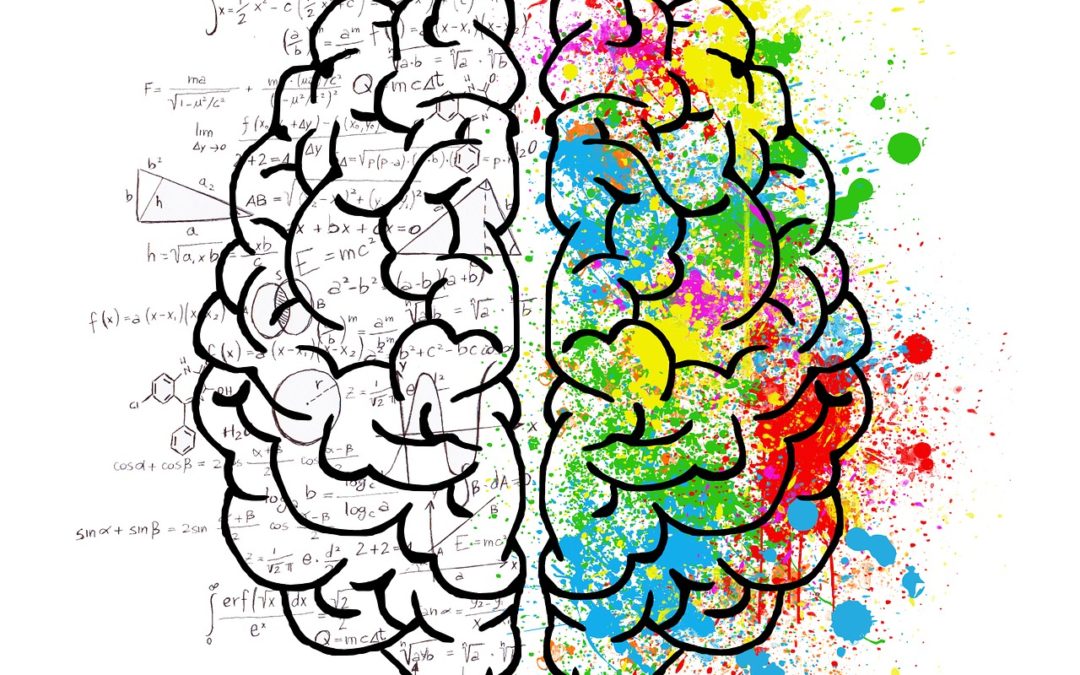 Left Brain Vs Right Brain