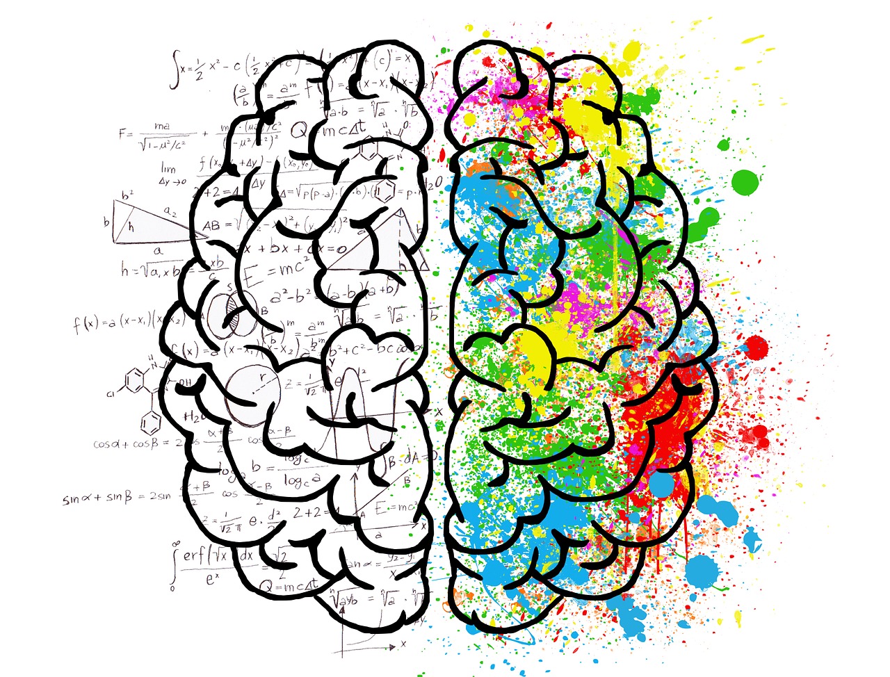 Left Brain Vs Right Brain